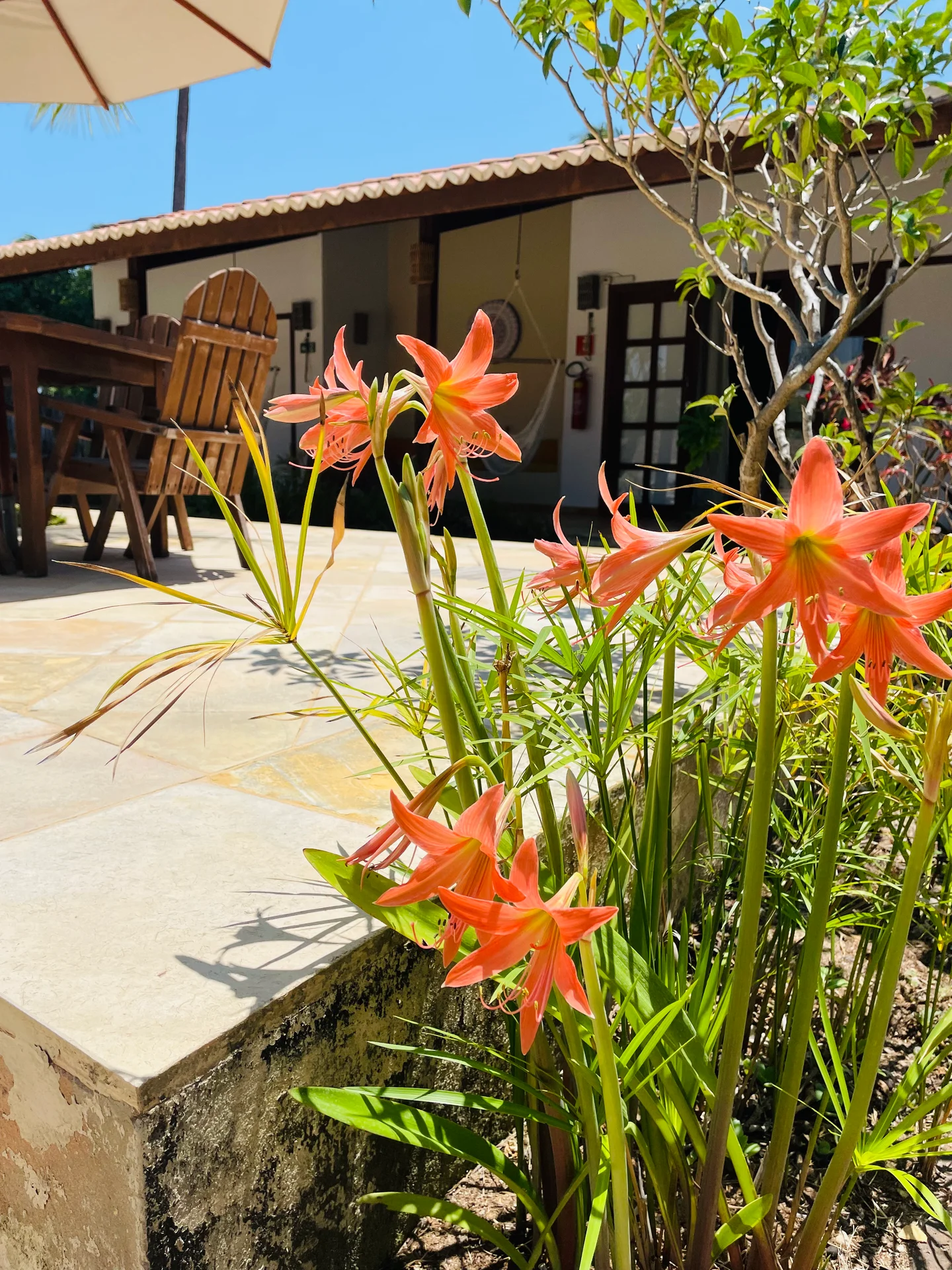 Jardim e área externa da Pousada Vila Icaraí em Icaraizinho